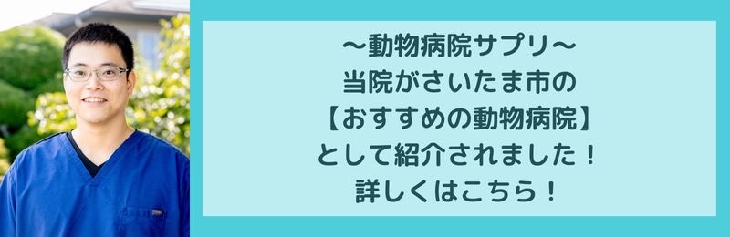 動物病院サプリバナー