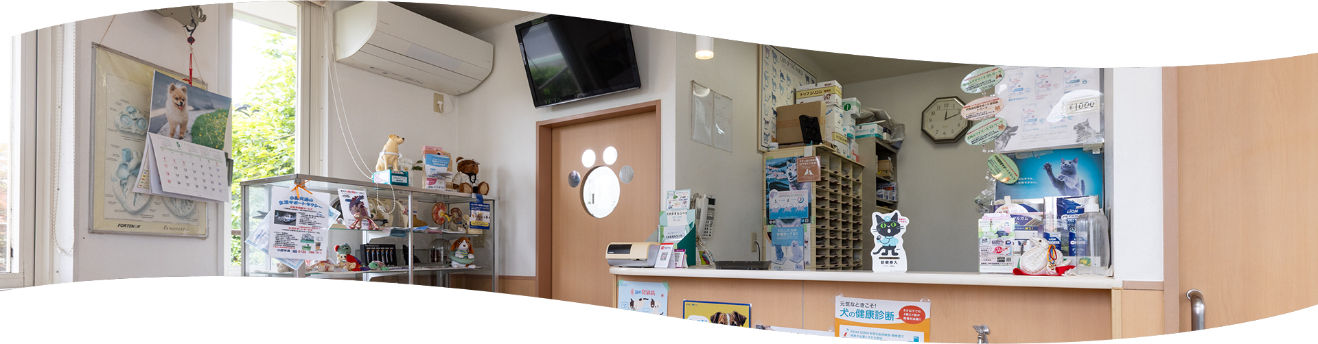 当院の診療について