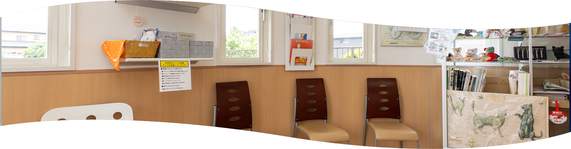 インフォメーション