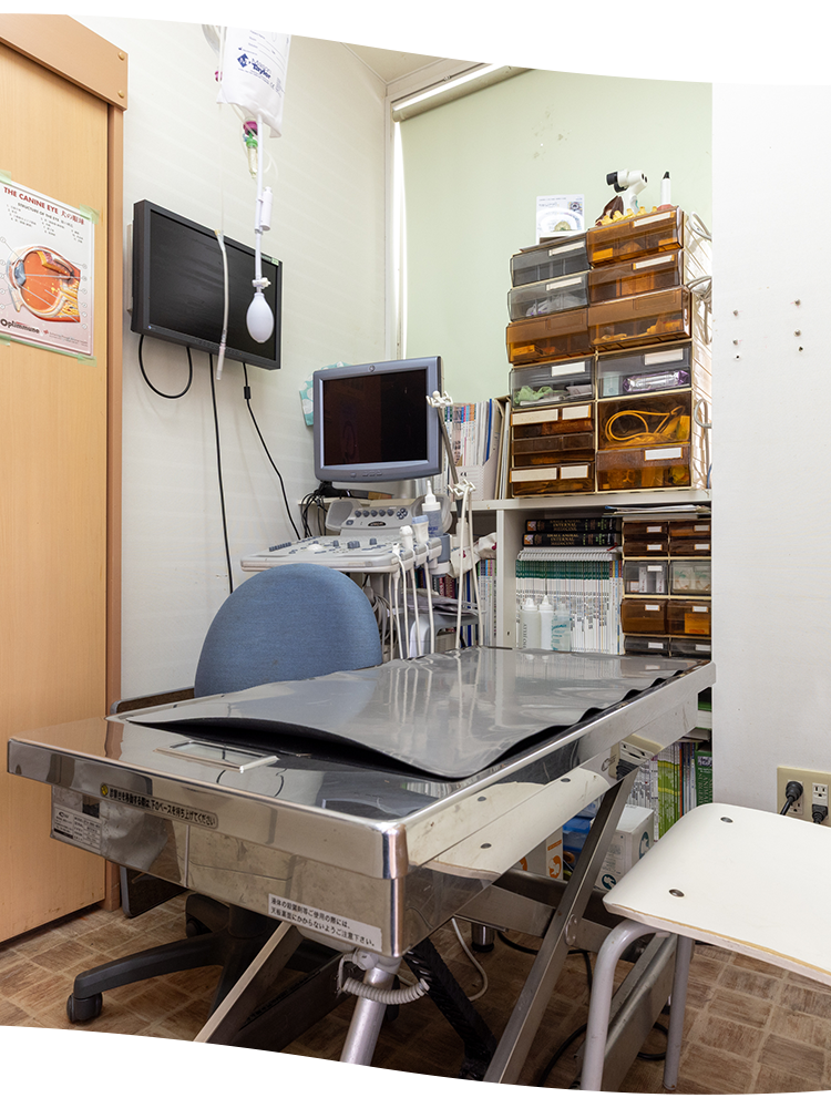 ハーモニー動物病院